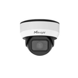 AI Motorized Dome Network Camera